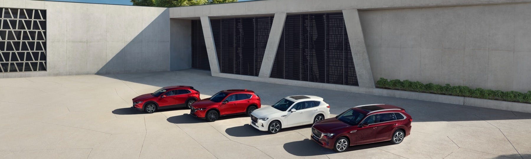 mazda  New Car Offer