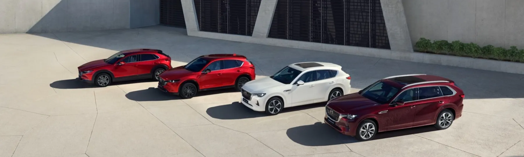 mazda  New Car Offer