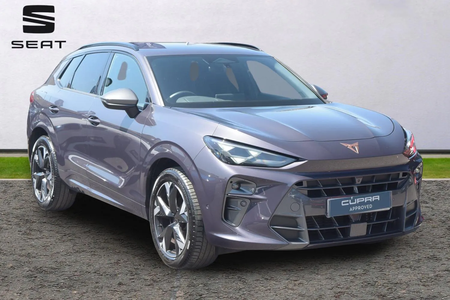 Cupra Terramar listing photo