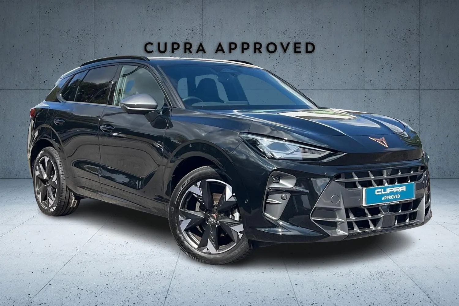 Cupra Terramar listing photo